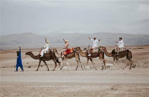 Balade Dromadaire au désert d'Agafay