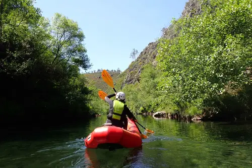 Kayak