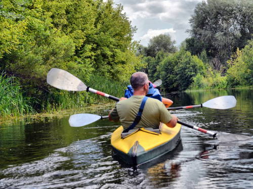 Kayak